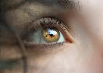 El atractivo de los ojos más bonitos del mundo, según un estudio los ojos más hermosos tienen ciertos colores ¿cuál es el color?